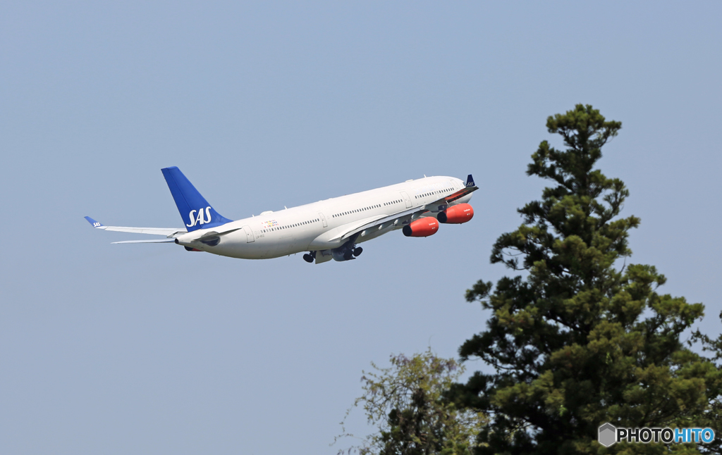 SAS A340-313 LN-RKG 離陸 