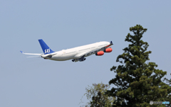 SAS A340-313 LN-RKG 離陸 