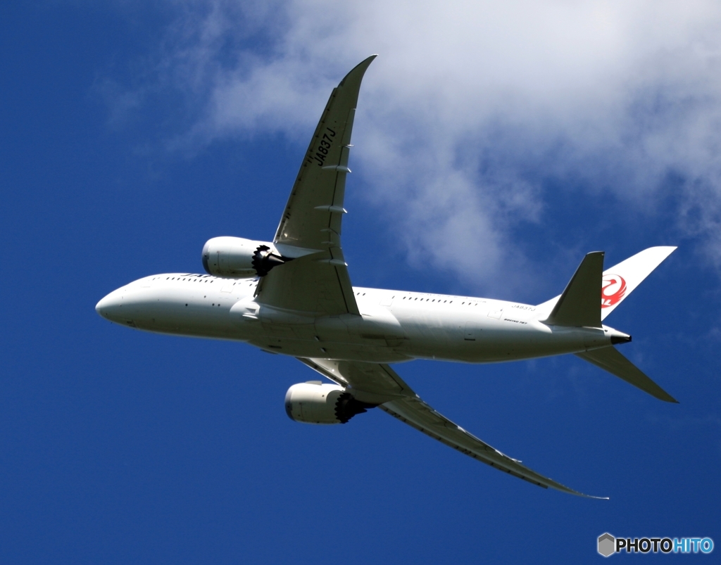 JAL 787-8 離陸　
