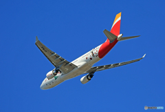 ☮イベリア航空・特別塗装A330-202 EC-MJA