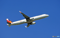[青空] Philippines A321-200 RP-C9916