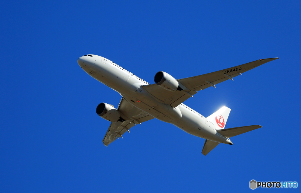 離陸 JAL 787-8 JA842J