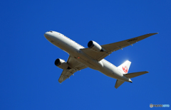 離陸 JAL 787-8 JA842J
