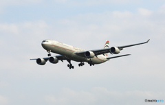 到着 ETIHAD A340-642 A6-EHI