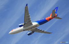 飛行  Air Calin A330-202 F-OJSE