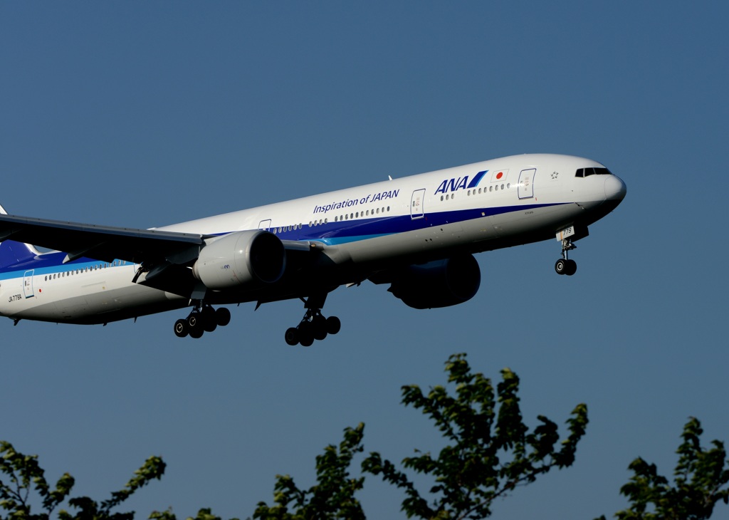 着陸　ANA 777-300