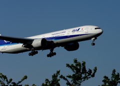 着陸　ANA 777-300