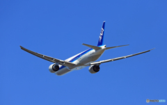 ANA 777-381 JA779A 離陸　