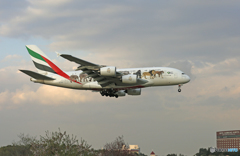 ✈Emirates A380-861特別塗装 ✈A6-EEQ