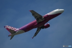 peach A320-200 飛行　