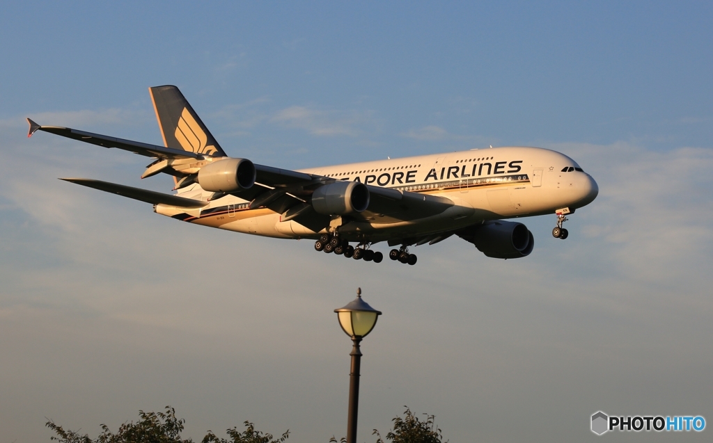 Singapore A380-841 9V-SKN   着陸　