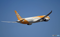 出発 scoot 787-9 9V-OJA