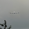 離陸（8-3）Nippon Cargo 747-8KZ F[ベイパー]