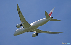 JAL 787-8 JA840J 飛び立ち 