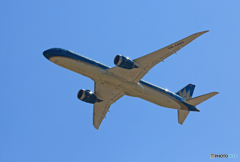 「ぶるー」 Vietnam 787-9 VN-A866離陸