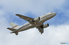 ☮ｸﾞﾛｰﾊﾞﾙ･Jet ﾙｸｾﾝﾌﾞﾙｸ A319-115X P4-VNL