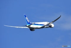 ANA 787-8  出発　