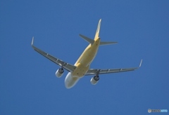 離陸　vanilla A320-214