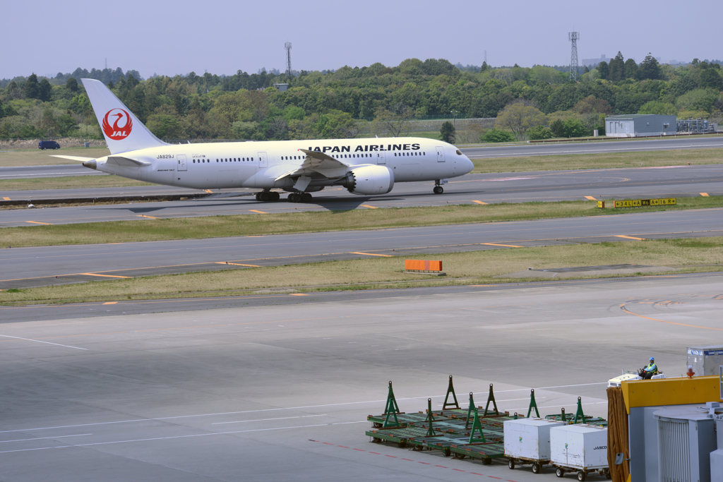 JAL 787
