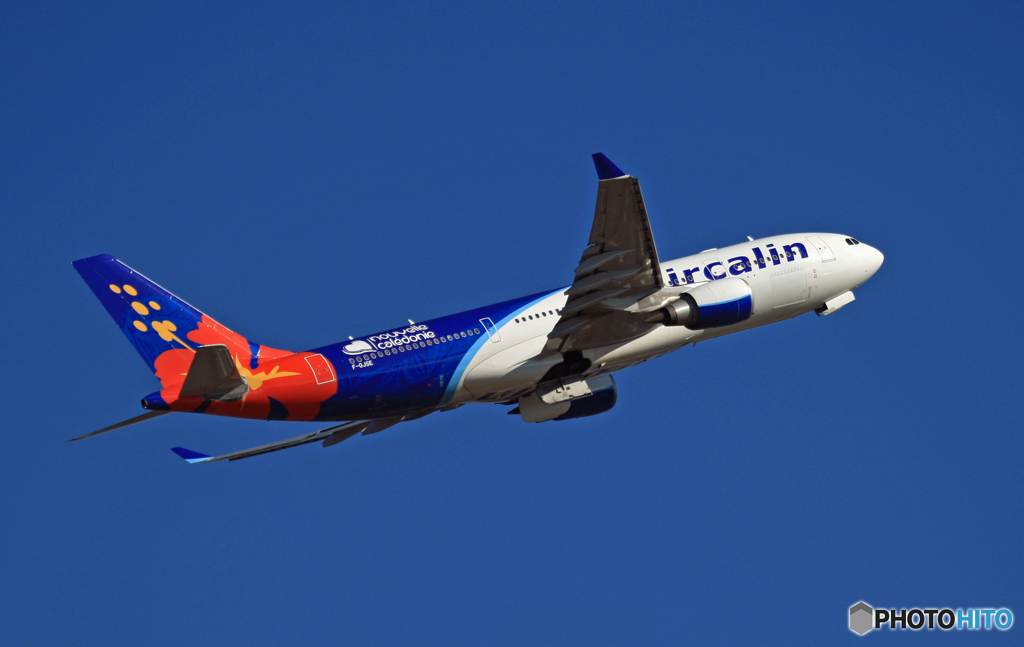 ✈本日のAir Calin A330-202ハイビスカス