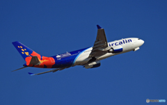 ✈本日のAir Calin A330-202ハイビスカス