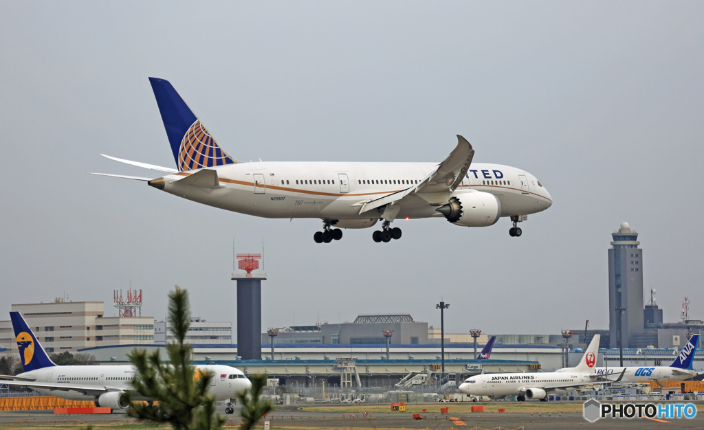 到着 United 787-8 N29907 