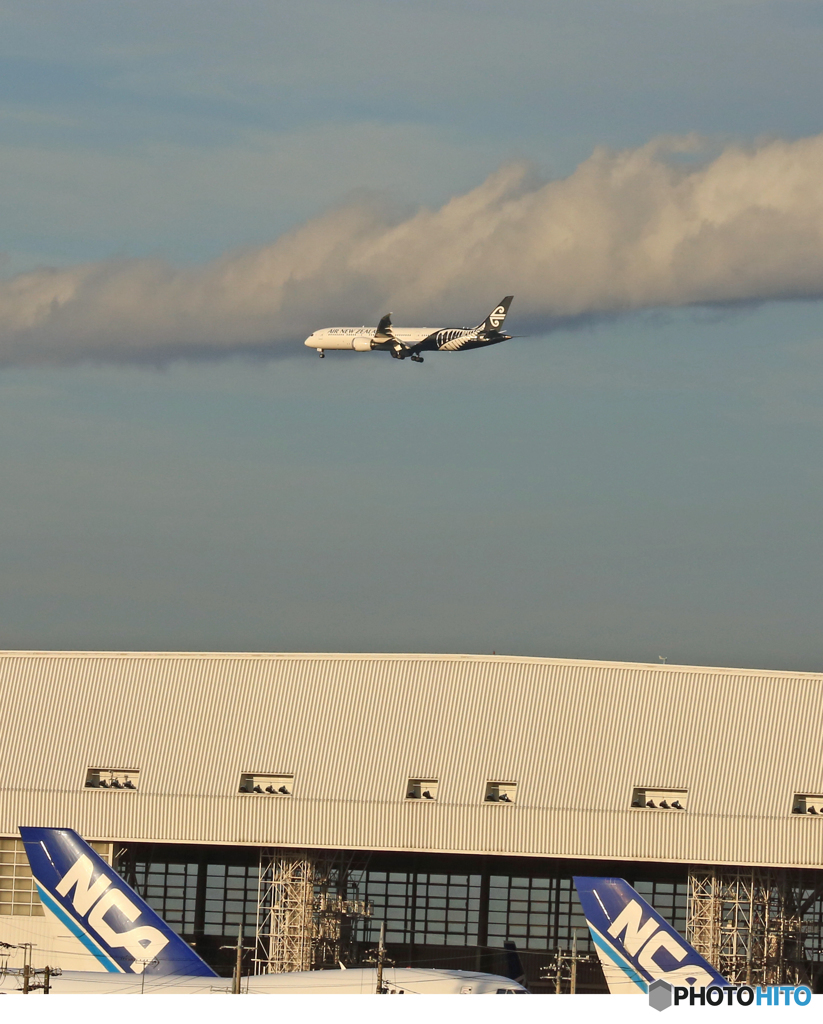 「青い空」 Air New Zealand