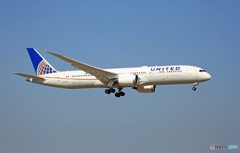 UNITED 787-9 N27959 到着 
