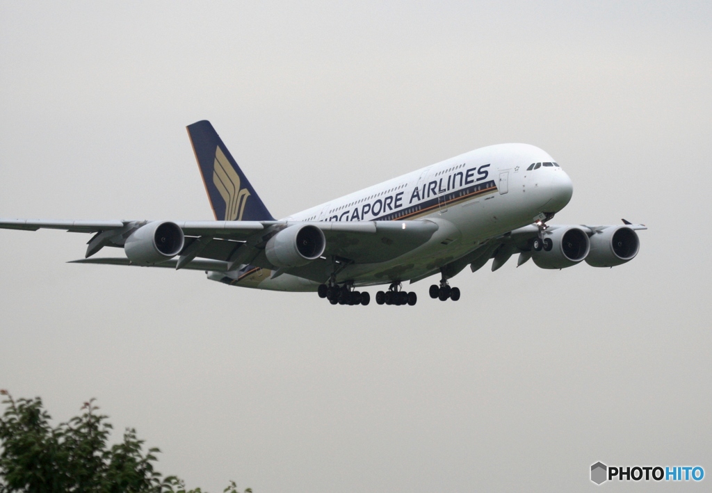着陸　SINGAPORE A380-841