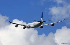 出発　SAS A340-313