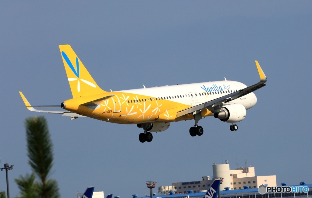 着陸　Vanilla A320-200