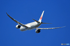 離陸 JAL 787-9 JA862J