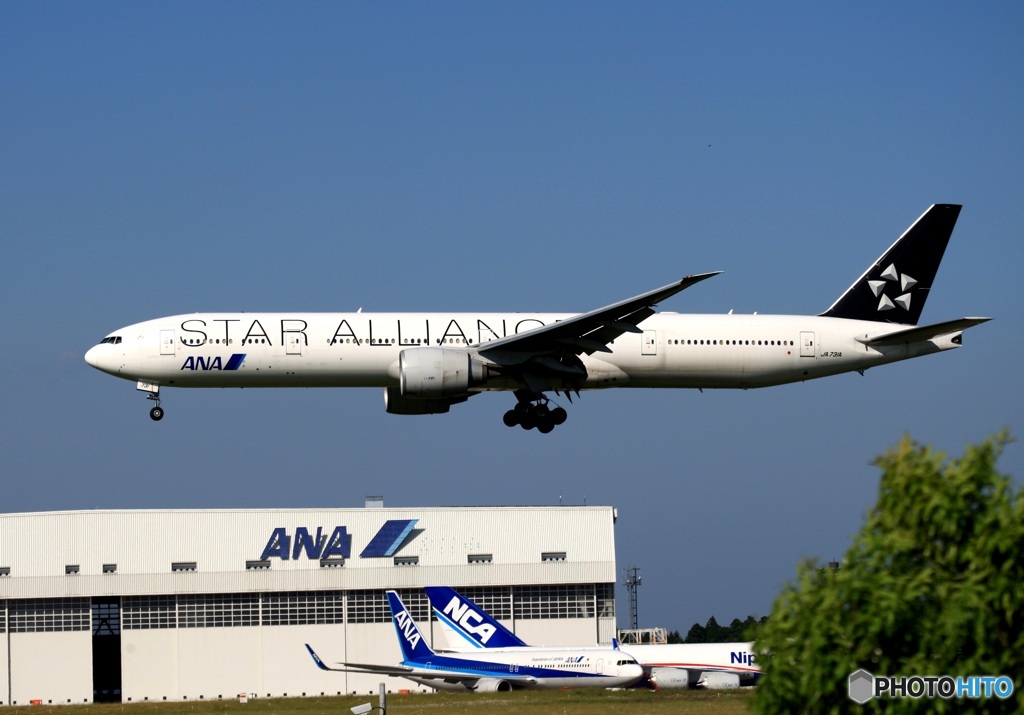 ANA STAR 777-300 到着　