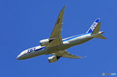 「青空」 ANA 787-8 JA805A飛び立ち