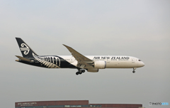 「スカイ」 Air NZ' 787-9 ZK-NZG 到着 「スカイ」 Air NZ' 787-9 ZK-NZG 到着