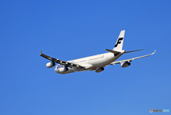 「青い空」 Finnair A340-313 OH-LQE 飛行