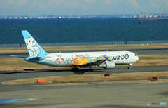 離陸  AIR DO 「ベア ドウ」 767-381 JA602A