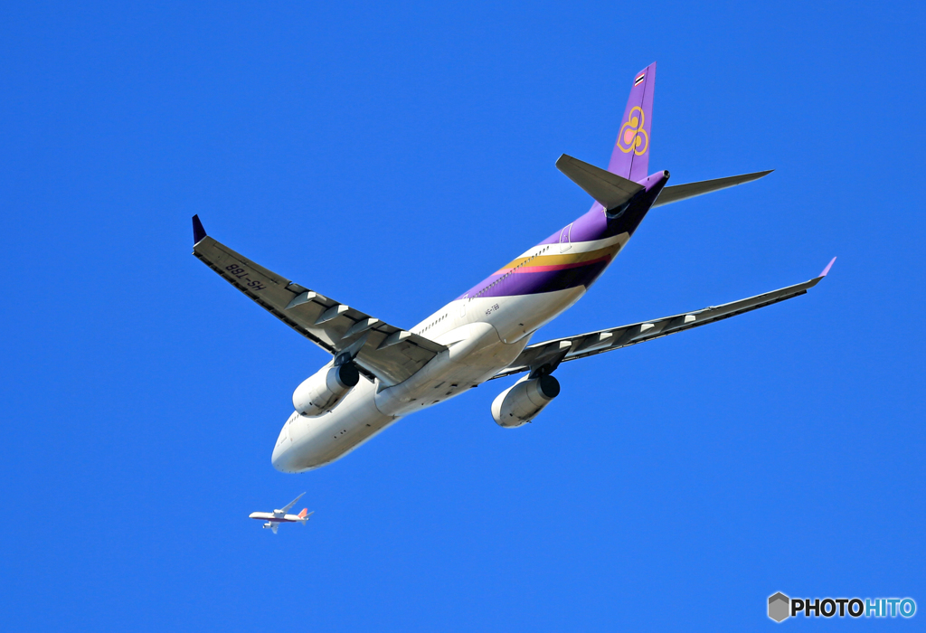 「青空」 W離陸 THAI A330-343 HS-TBB