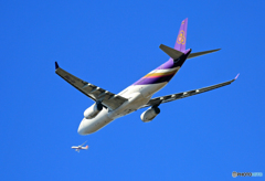 「青空」 W離陸 THAI A330-343 HS-TBB