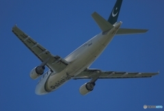 離陸　PIA A310-324 