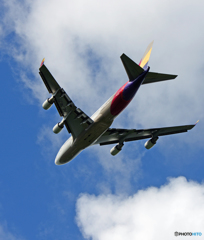離陸Asiana 747-400 HL7421 /ジャンボ保存委員会  