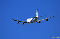 「すかい」 NCA 747-400F JA08KZ出発