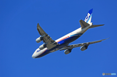 「青い空」が一番 NCA 747-8KZF JA13KZ