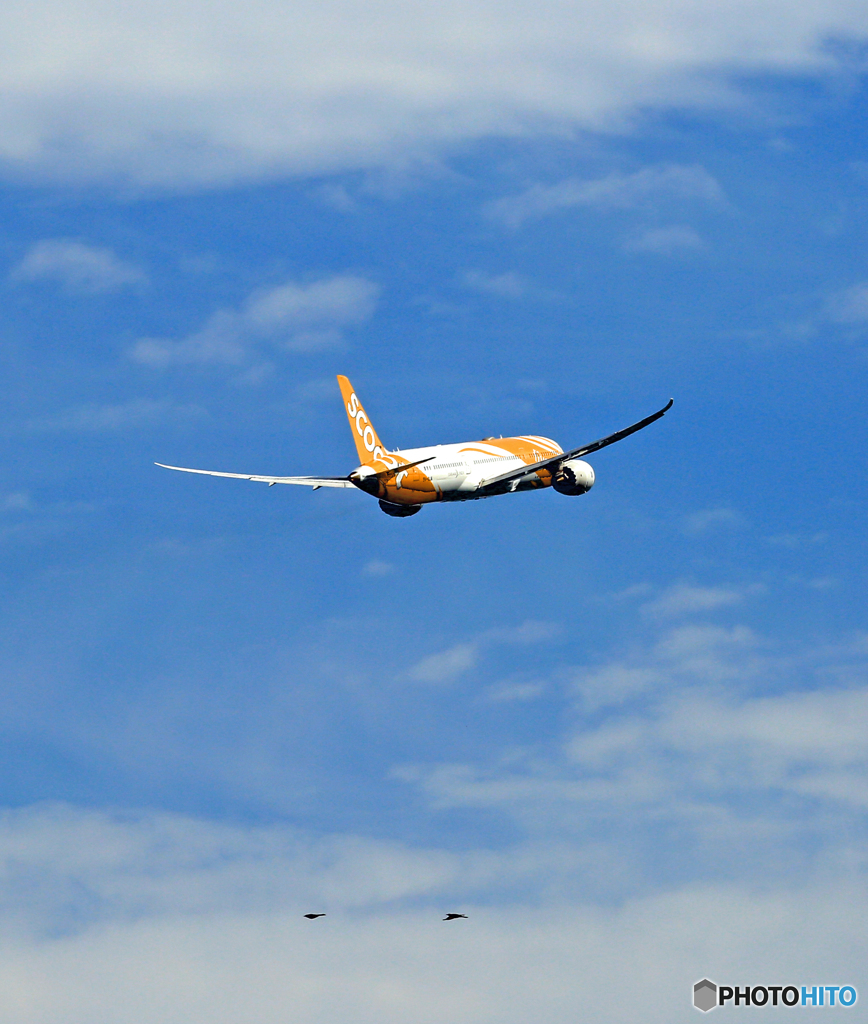 離陸 Scoot 787-9 9V-OJA