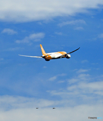 離陸 Scoot 787-9 9V-OJA