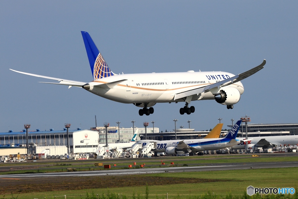 到着　United 787-8