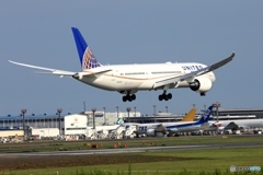 到着　United 787-8