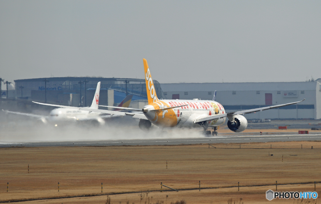 scoot 787-9 9V-OJE パウダー出発　 