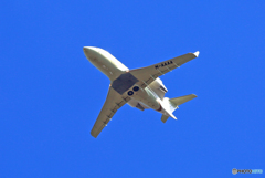 飛び立ちPrivate Canadair CL-600-2B16 M-AAAA