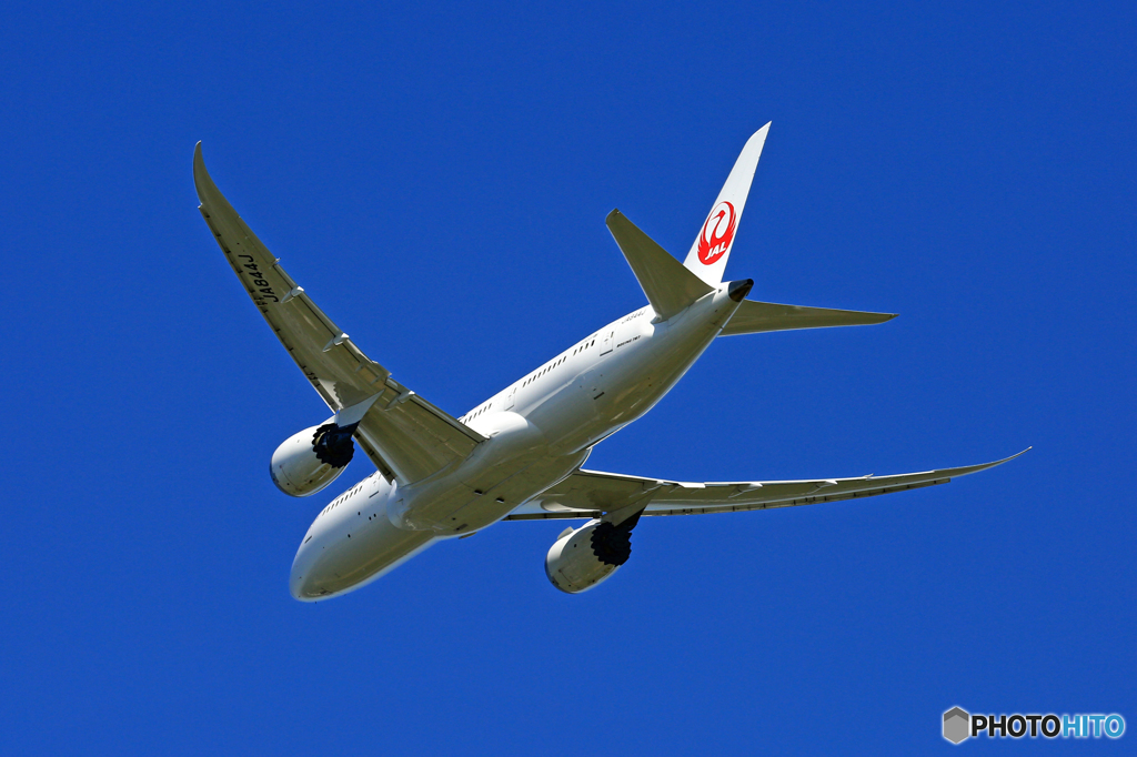 飛び立ち JAL 787-8 JA844J
